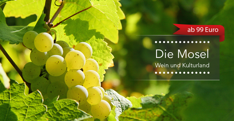 Die Mosel, ab 99€
