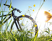 Radtour durch's Grüne