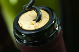 Exklusiv Weinreise, Wein, Mosel